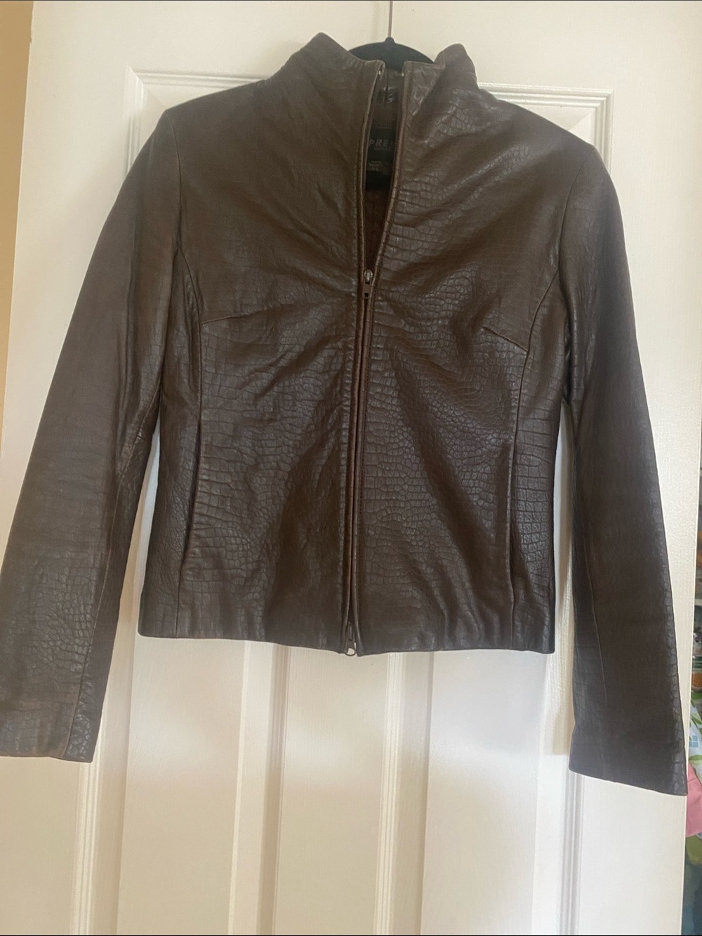 Express Brown Leather Zip-Front Jacket